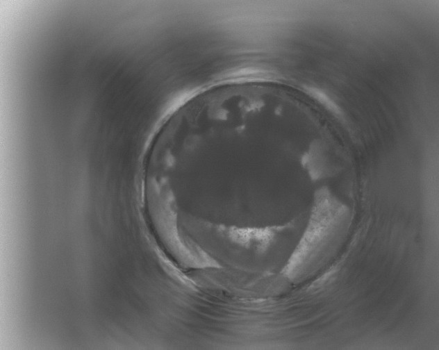 X0000063501413200602032005