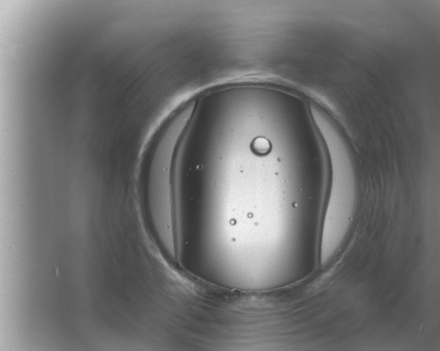 X0000063501414200602032005