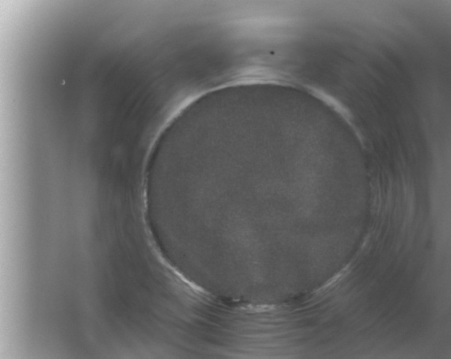 X0000063501415200602032005