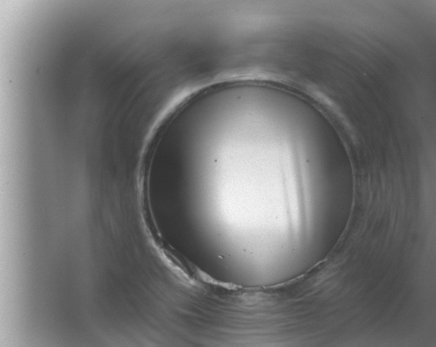 X0000063501416200602032005