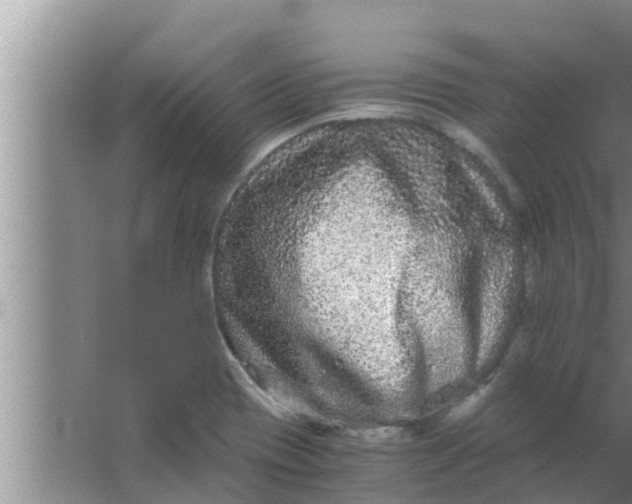 X0000063501417200602032005