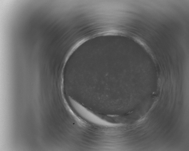 X0000063501418200602032006