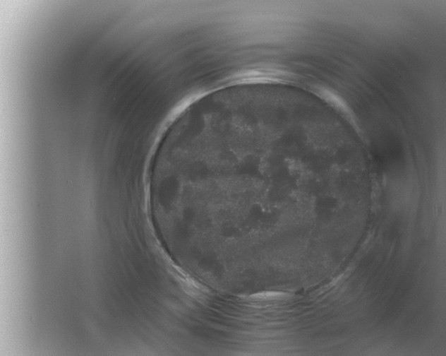 X0000063501419200602032006