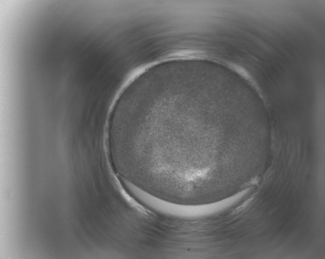 X0000063501421200602032006