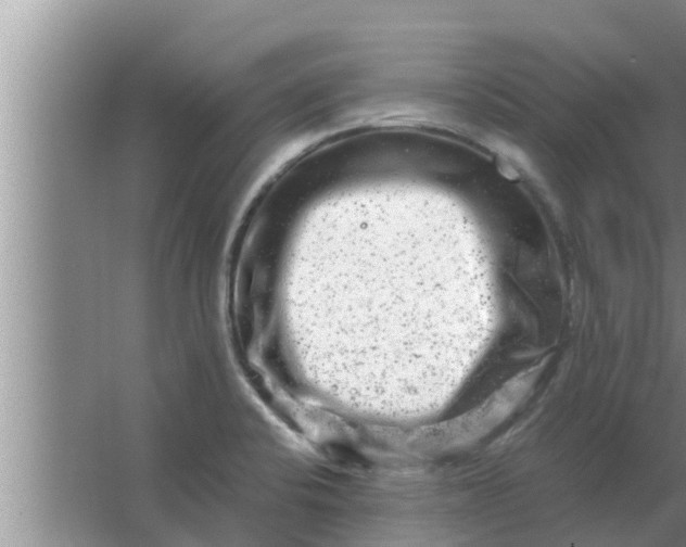 X0000063501424200602032006