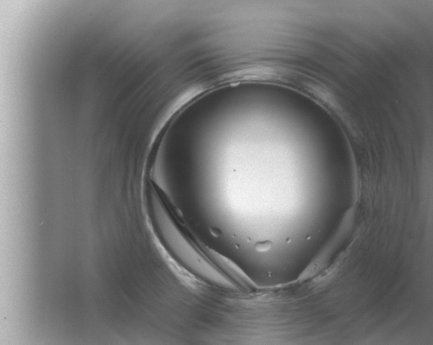 X0000063501426200602032006