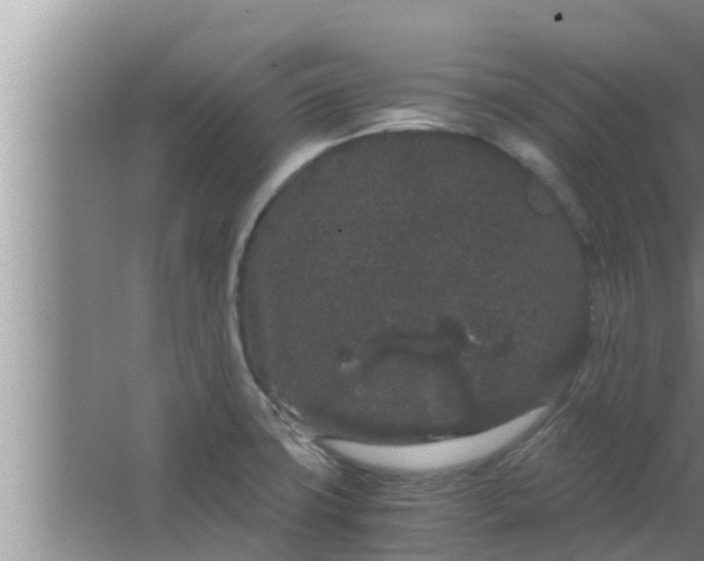 X0000063501427200602032006