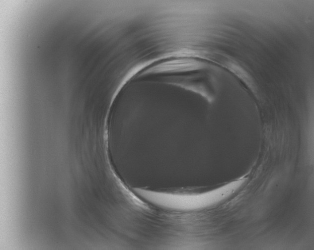 X0000063501428200602032006