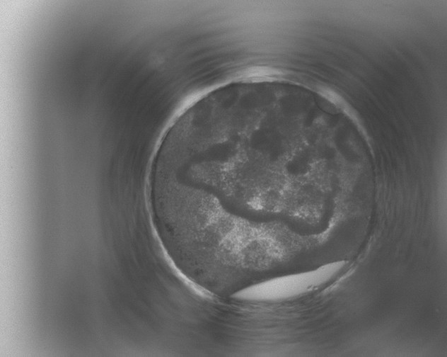 X0000063501429200602032006