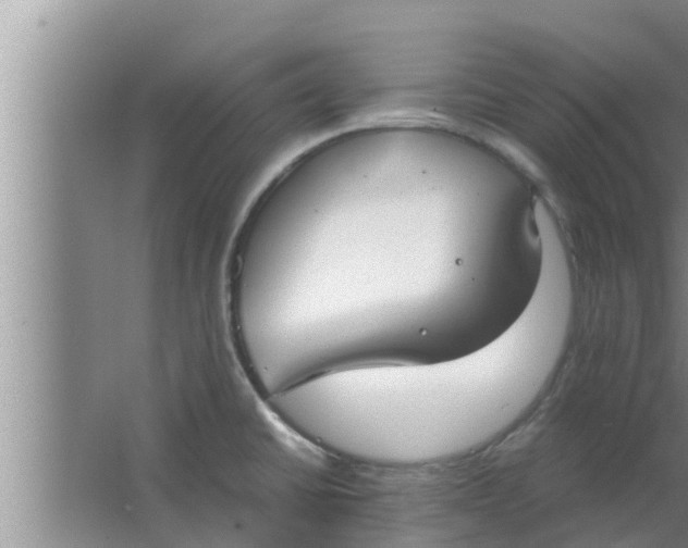 X0000063501430200602032006