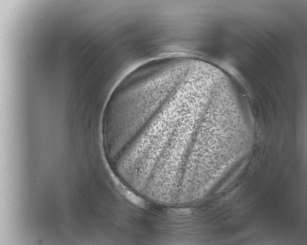 X0000063501431200602032006