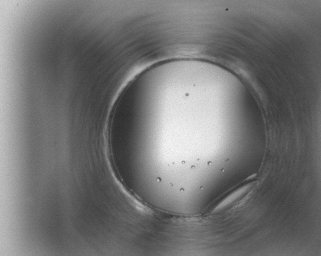 X0000063501432200602032006