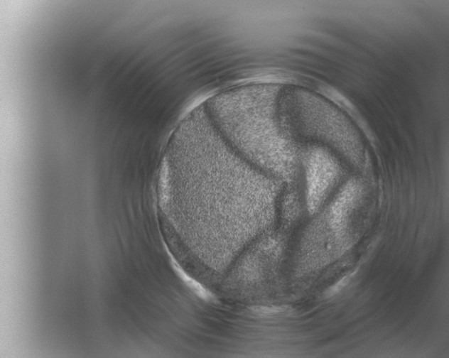 X0000063501433200602032006