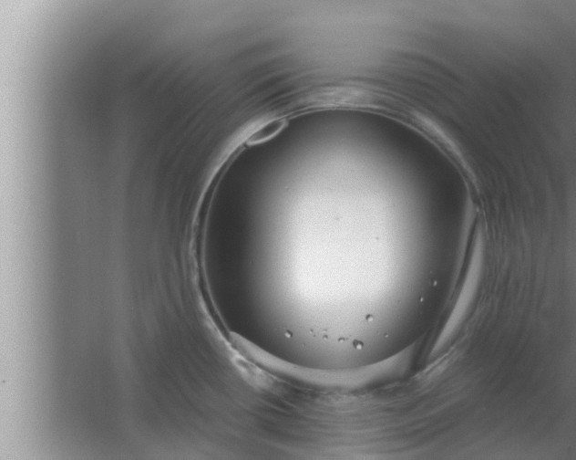 X0000063501434200602032006