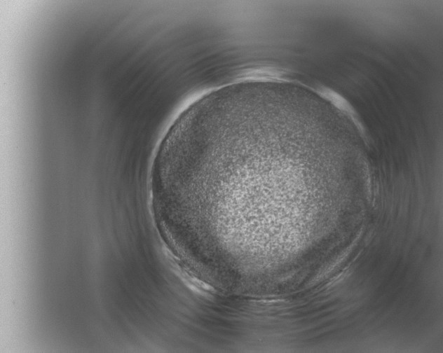 X0000063501435200602032006