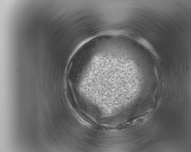 X0000063501436200602032006