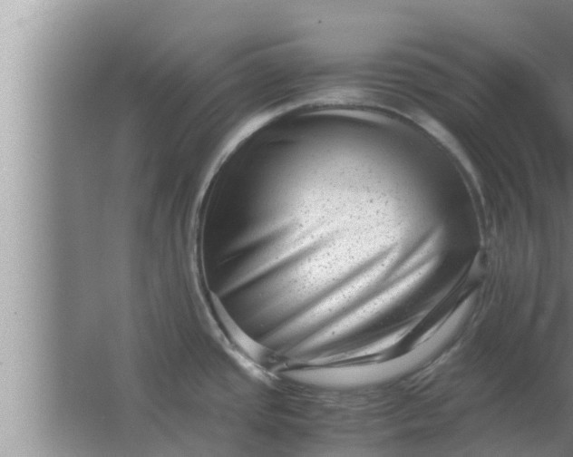 X0000063501437200602032006