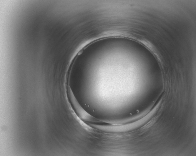 X0000063501438200602032006