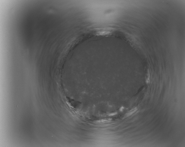 X0000063501441200602032005