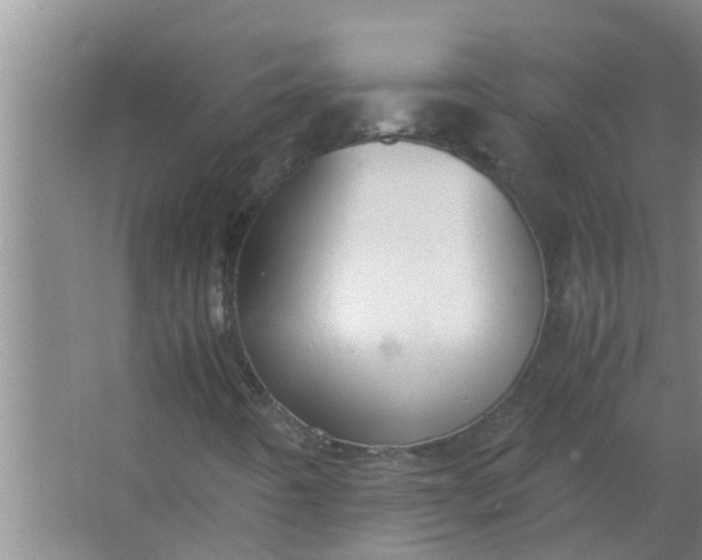 X0000063501442200602032005