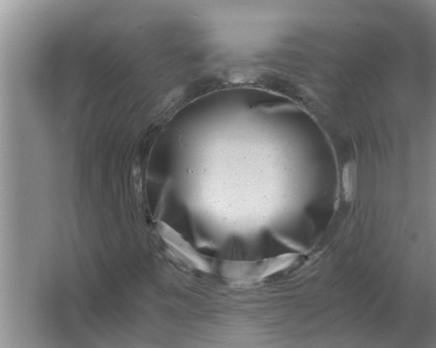 X0000063501443200602032005