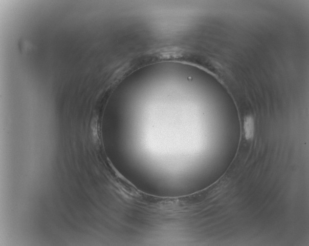 X0000063501444200602032005