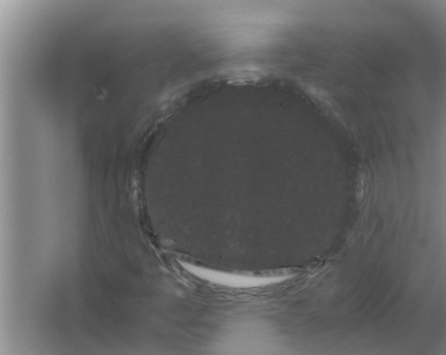 X0000063501445200602032005