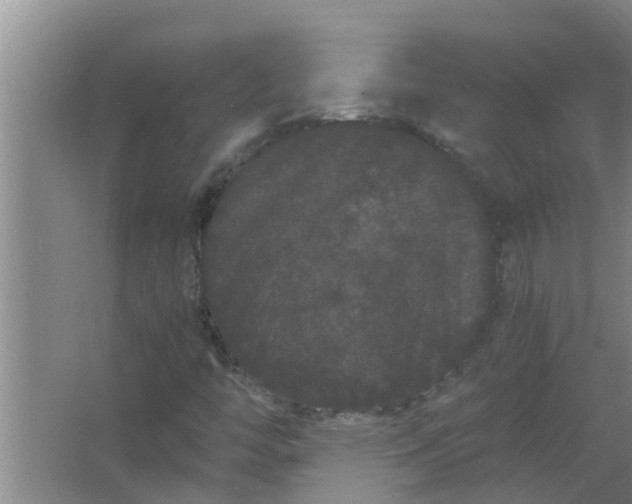 X0000063501446200602032005