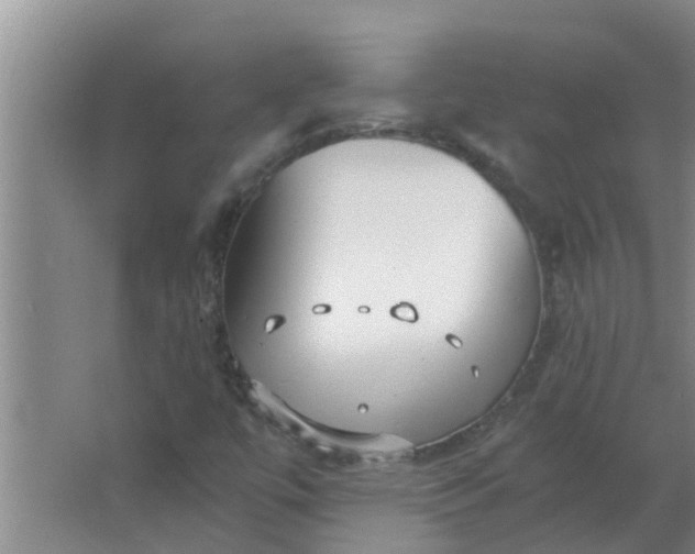 X0000063501447200602032005