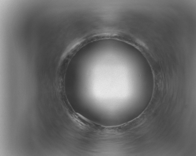 X0000063501448200602032005