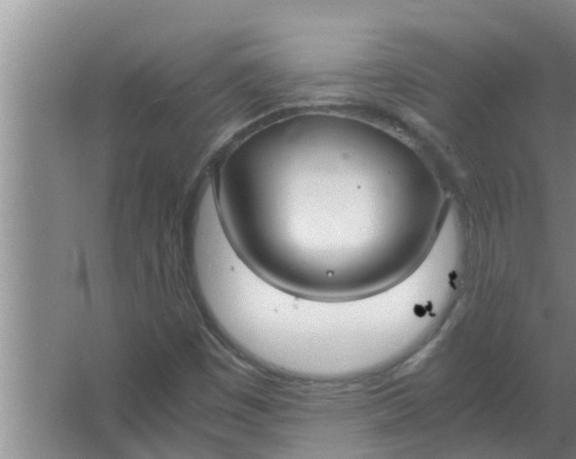 X0000063501449200602032005