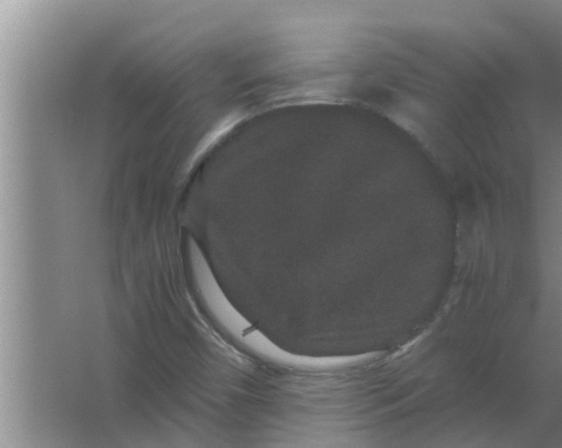 X0000063501450200602032005