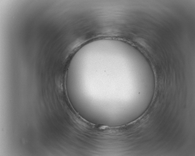 X0000063501451200602032005