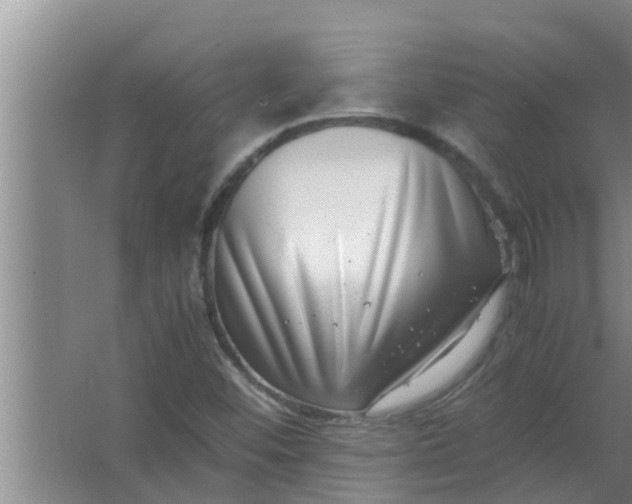 X0000063501452200602032005