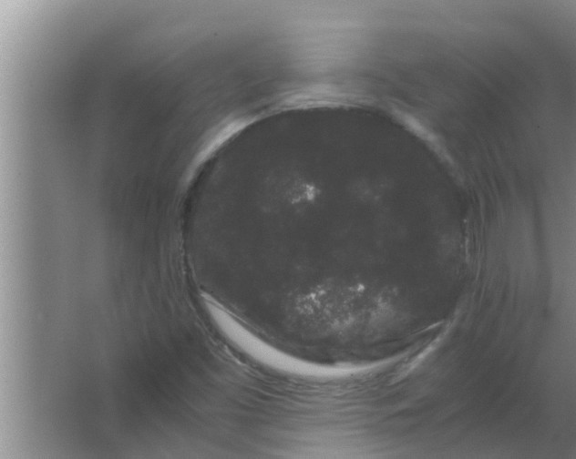 X0000063501453200602032005