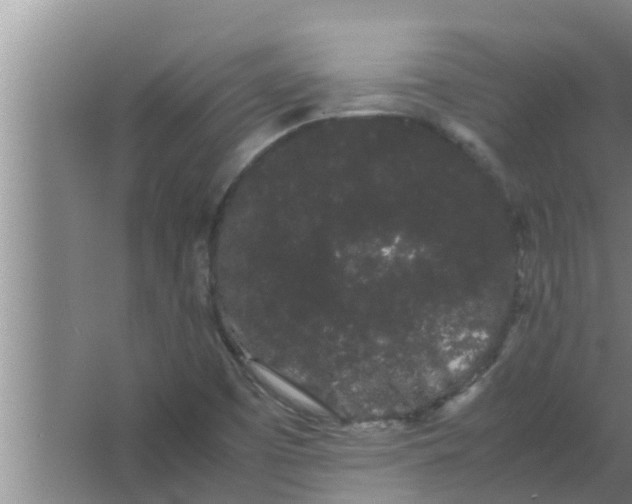 X0000063501457200602032005