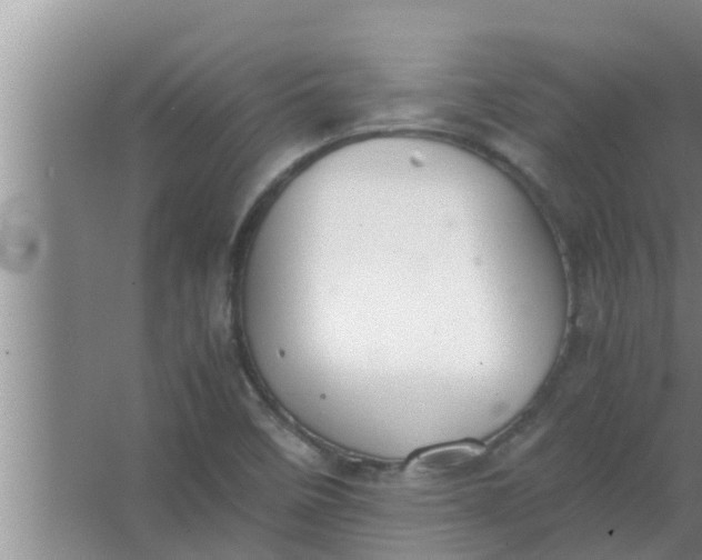 X0000063501458200602032005