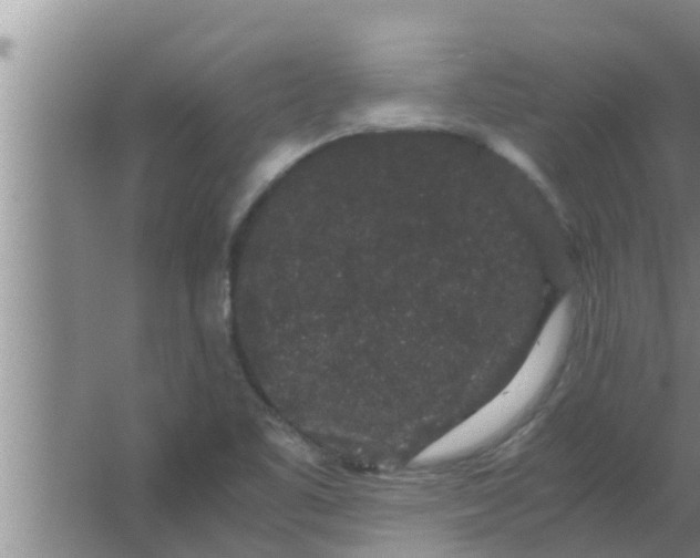 X0000063501461200602032005