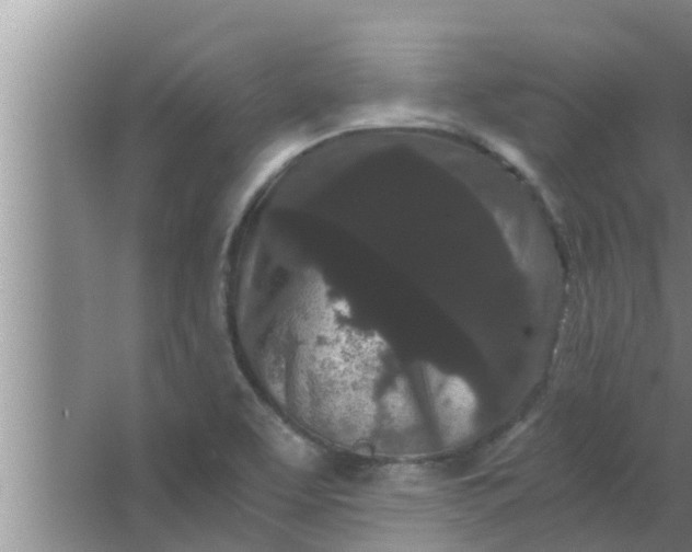 X0000063501463200602032005