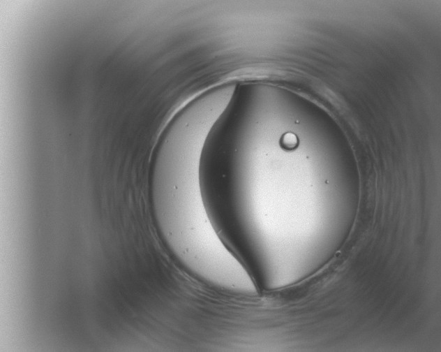 X0000063501465200602032005