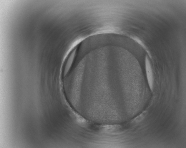 X0000063501469200602032005