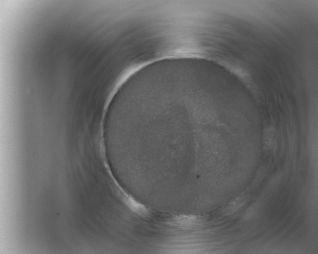 X0000063501470200602032005