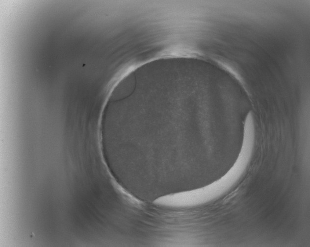 X0000063501471200602032005