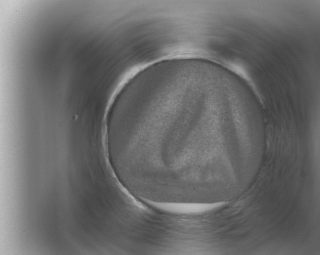 X0000063501472200602032005