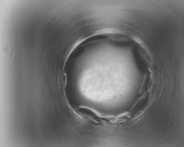 X0000063501473200602032005