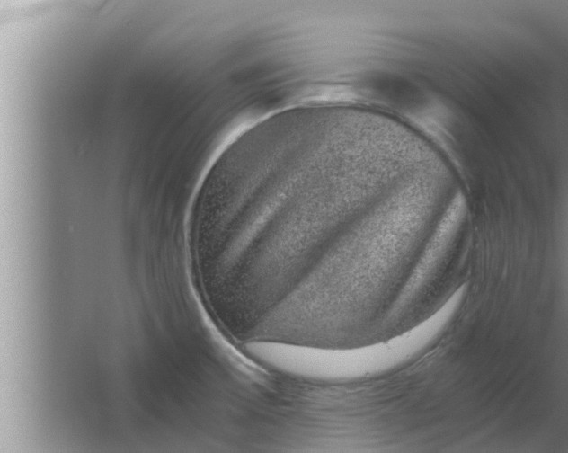 X0000063501475200602032004