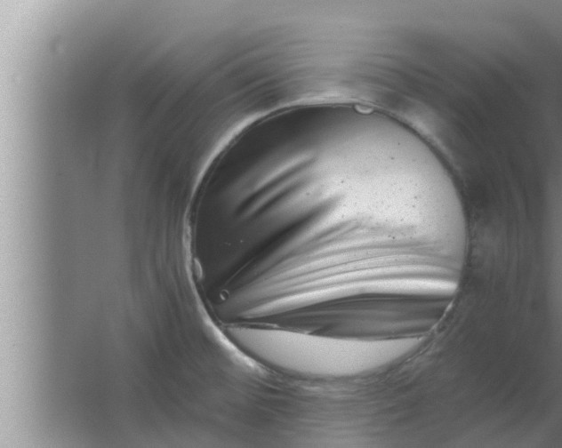 X0000063501476200602032004