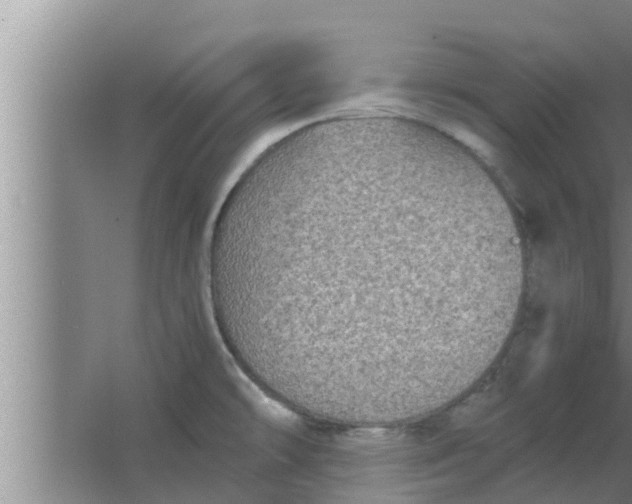 X0000063501478200602032004