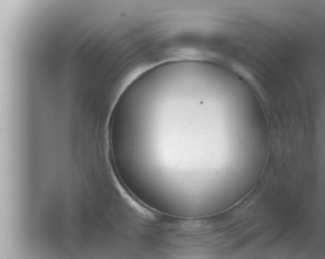 X0000063501479200602032004