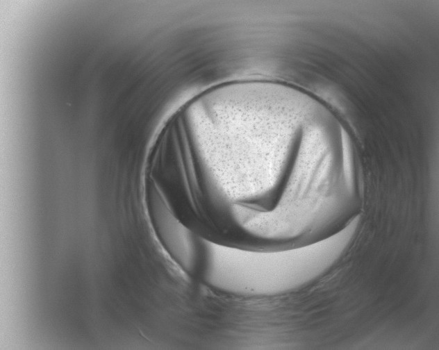 X0000063501480200602032004